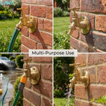 LavaTap Outside Tap 1/2 Inch Brass Garden Tap LavaTap