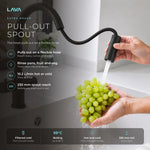 LavaTap black 4-in-1 pull-out boiling water tap: pull-out spray hose