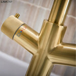 LavaTap 4 in 1 Boiling Water Tap Swan Neck Instant Hot Water Kitchen Mixer Tap Only - Brass LavaTap