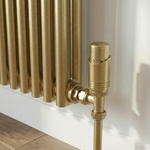 NO - Kartell BR-TRV301A Design Twin Pack TRV Brushed Brass Angled Kartell