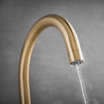 LavaTap Brass 3-in-1 Swan Neck Boiling Water Tap (Tap Only) LavaTap - Close Up Detail